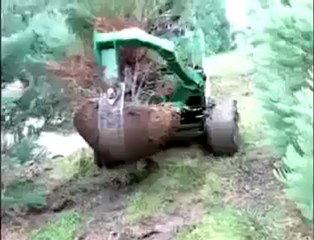 Ağacı kökü ile alan makina