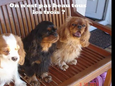 Joyeux anniversaire ma petite chérie