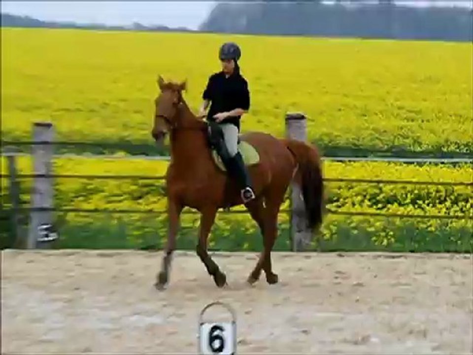 28-04-2012