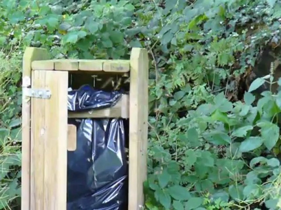 défense d'un nid de guêpes - Dolichovespula saxonica