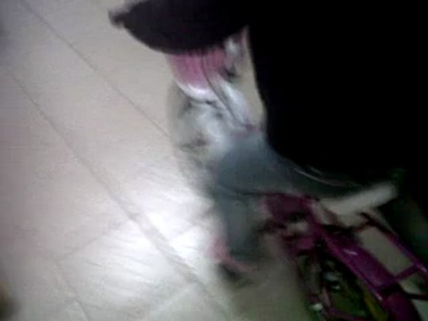 VID 00000-20120430-2031