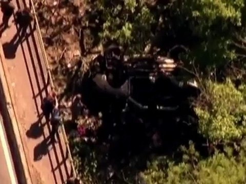 Van Plunges into New York's Bronx Zoo, Killing Seven