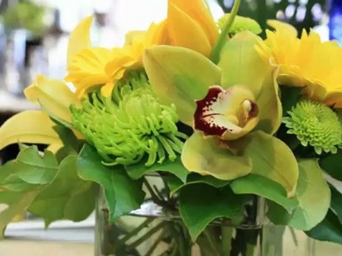 Florist Omemee Peterborough Rambling Rose Flowers Gifts ...