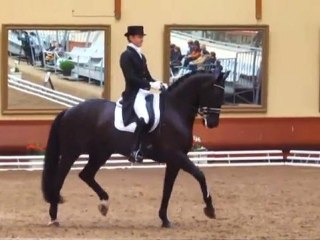 Edward Gal (NED) & Glock's Undercover - G.P.  RLM 73,681 - CDI3* Saumur 2012/04/29 77.80