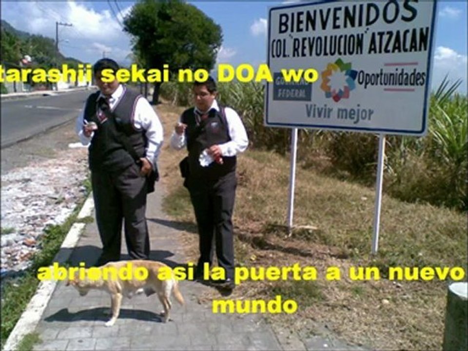 plenaria hd