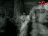 Dorikithe Dongalu Songs - Mavayya Chikkavayya - NTR - Jamuna