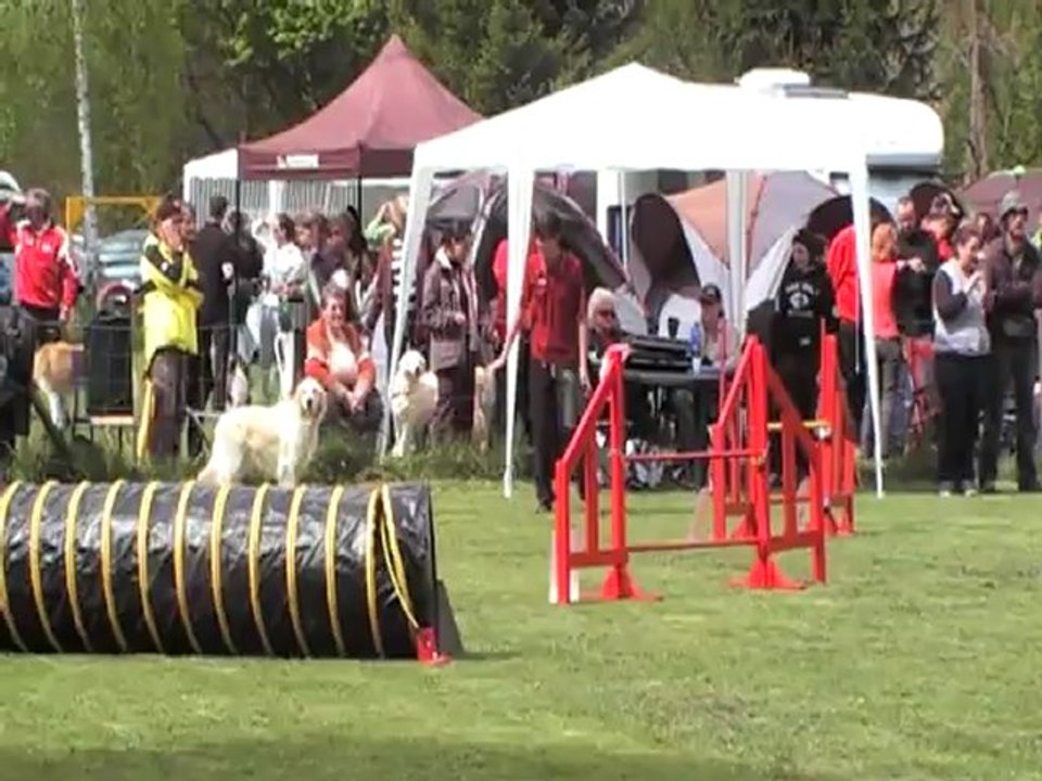 CERISE JUMPING champ regional 29042012