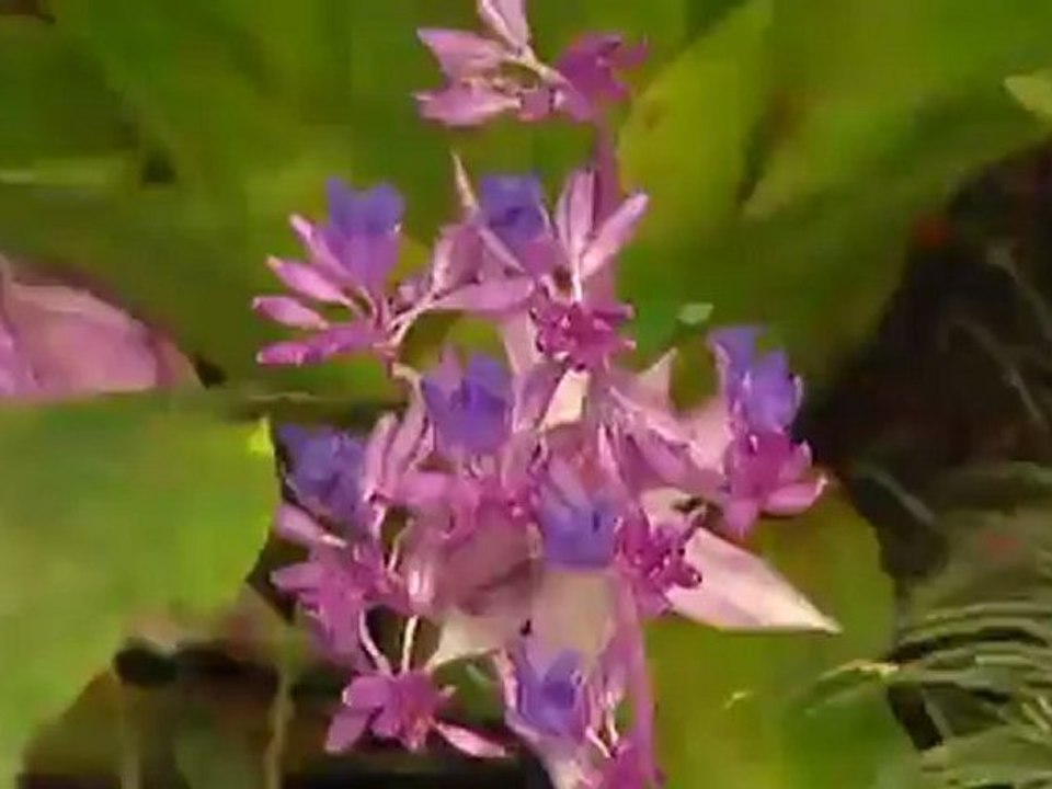 Augsburg ? Three Travel Tips | Discover Germany