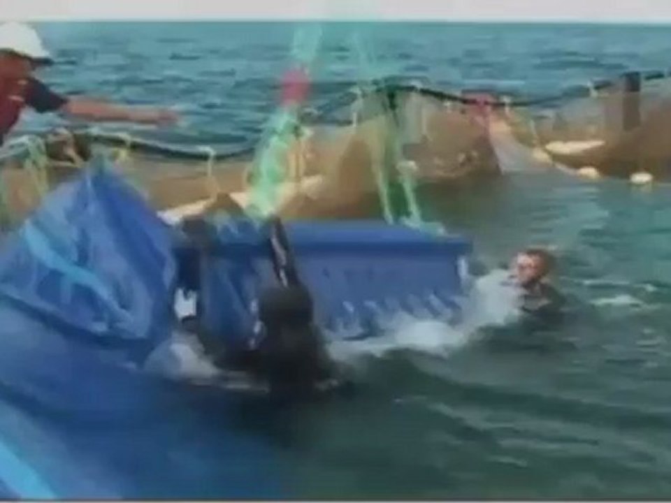 Australia: From Tuna Hunter to Sushi Saver | Global 3000