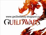 Guild Wars 2 Beta Key Giveaway[Daily 50 Keys]