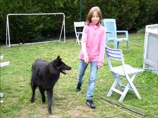 Episode 1 goldy agility