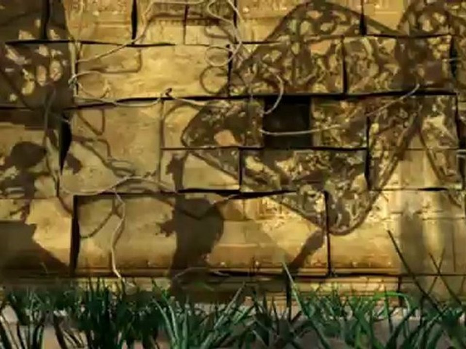 O_Plus_Logo_Animation.mp4