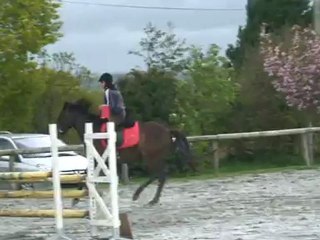 Tornado & Margaux 29avril 2012 en 95cm