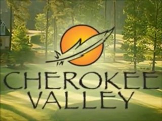 tiger woods golf swing