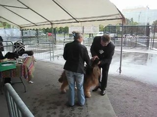 Eden du Chant des Floralins RCACS à Nice le 30 avril 2012