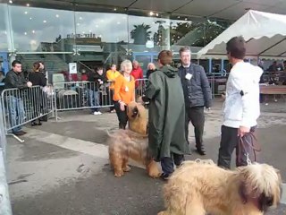 Ewa du Val de Méouge CACS à NIce le 30 avril 2012