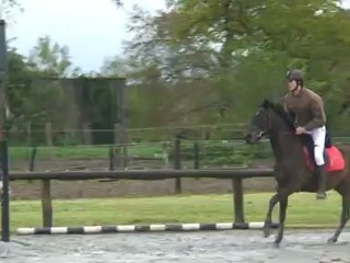 Tornado & Kyllian 29avril 2012 en 95cm