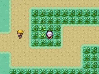 nuzlocke challenge vert feuille ( 11 )
