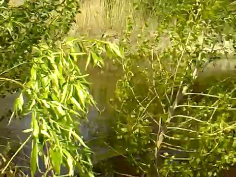 Спонтанное поздравление