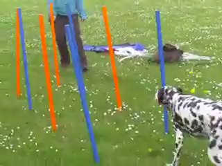 diane slalom couloir