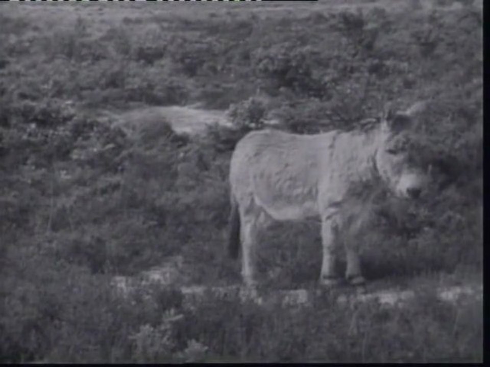 Do you know the way to San Jose - Dionne Warwick