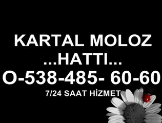 KARTAL MOLOZ HATTI (0538-485-60-60)