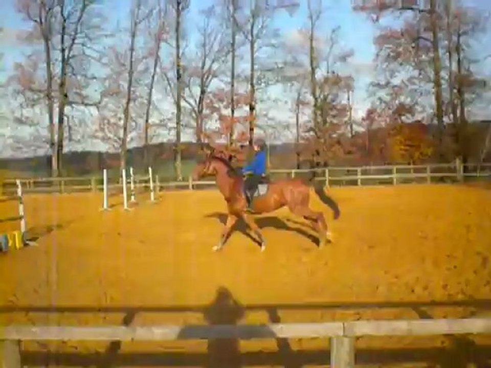 Qyarlands du Mont - obstacle isolé (vertical)