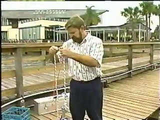 Ocean Optics on WFLA-TV - 1992