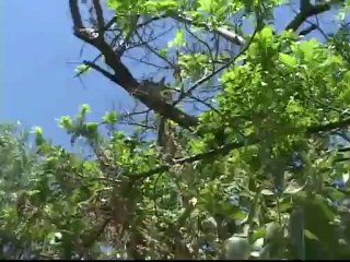 MI ATOTONILCO BONITO LOS CANALES DEL CHICHIMECO