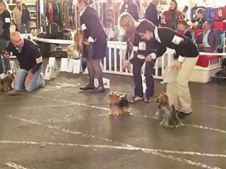 Edelzia du Royaume des Romanceros 22.10.2011