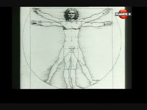 Pales et rotors (Bêtes de somme)