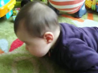 clémentine fait du 4 pattes