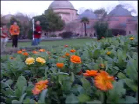 Minik Dualar Grubu -Hasta Duasi-