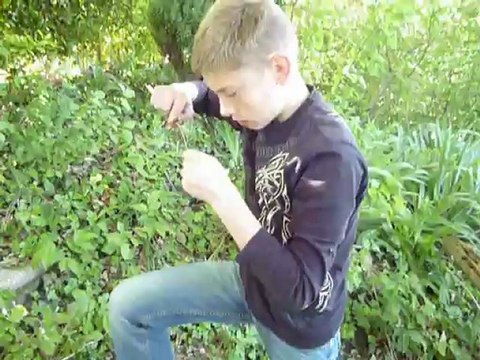 Thumbnail