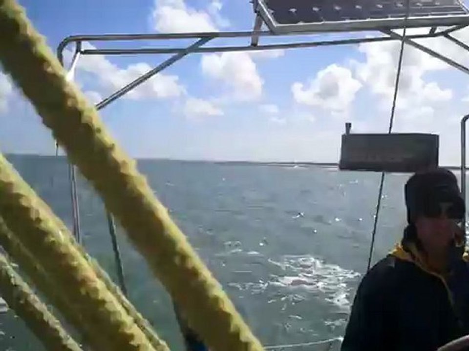 Vidéo0030