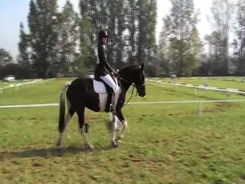 CHAMPIONNAT DEPARTEMENTAL 2012 - DETENTE -DRESSAGE