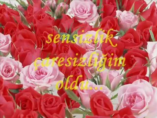 seslicati.com seslidunya.com.de  seslichat.me   seslidede.com seslidede.net
