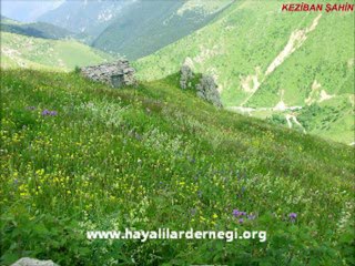 Melek Kamer-Kurşundan Beter (www.hayalilardernegi.org)