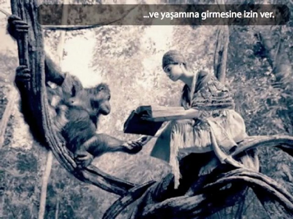 Yeninin Sana Gelmesine İzin Ver | Network Academy