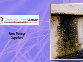 Sugarland Flood Damage – Mold Creeping in need of Removal?