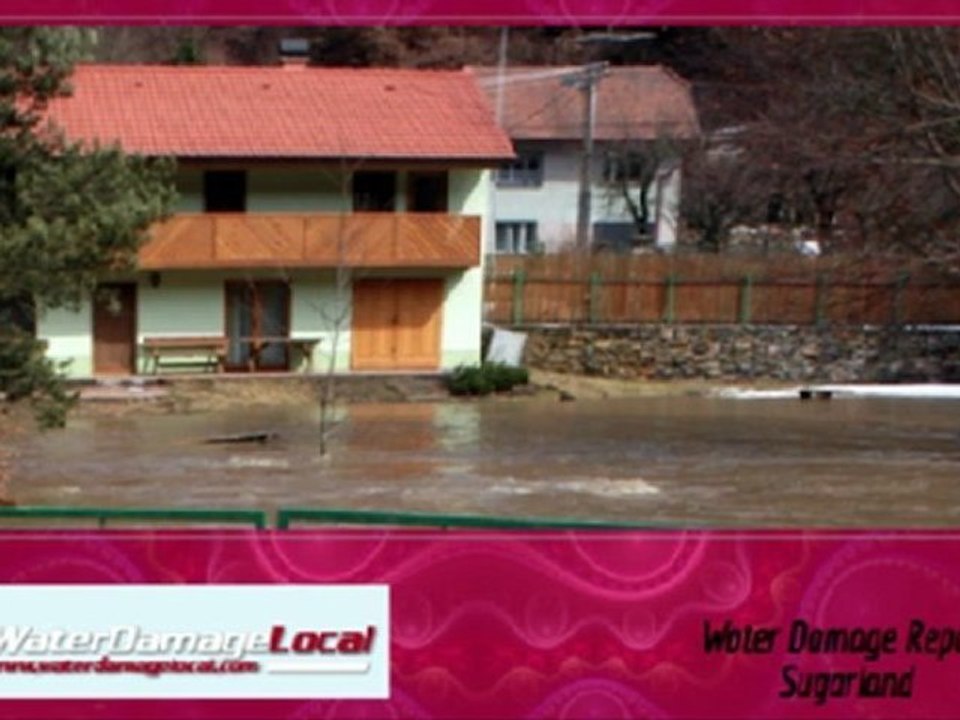 Sugarland Water Damage Repair - Mildew Remediation