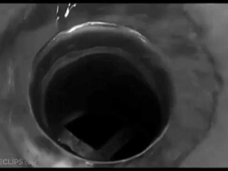 psycho shower tribute