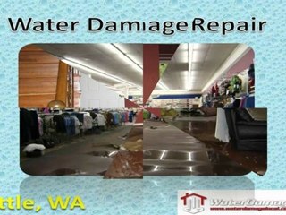 Water Damage Repair Seattle