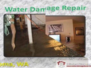 Water Damage Repair Tacoma
