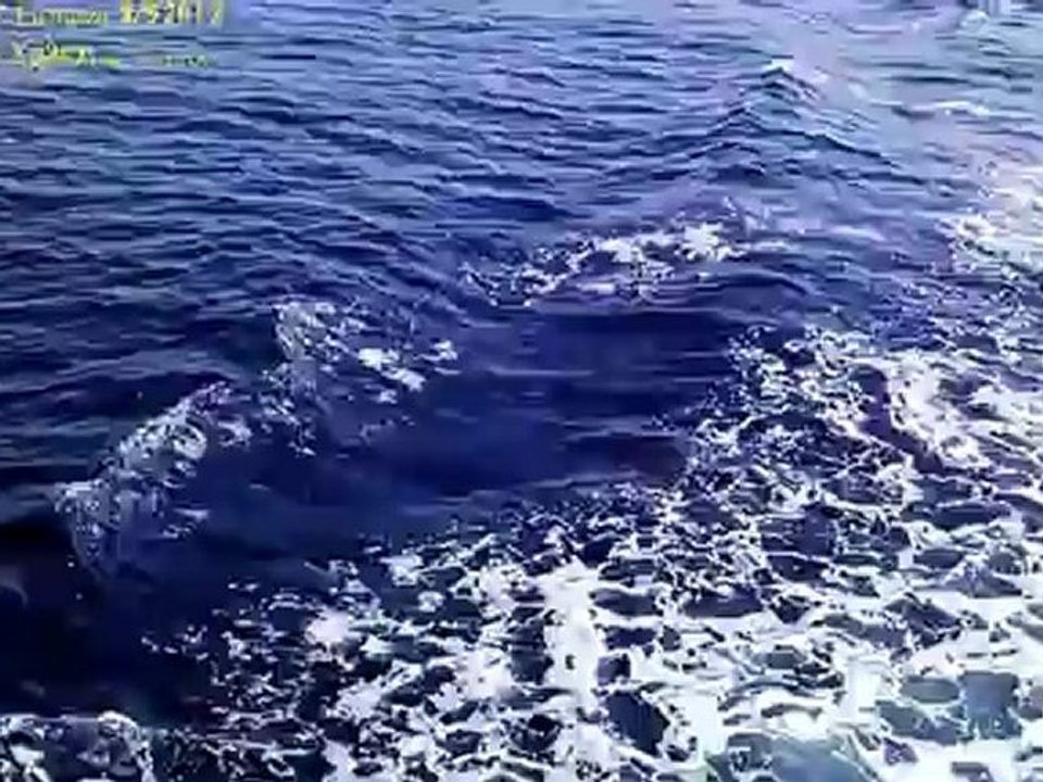 Εκδρομή Χάλκη παρέα με Δελφίνια- Γυμνάσιο Έμπωνα! 8/5/2012