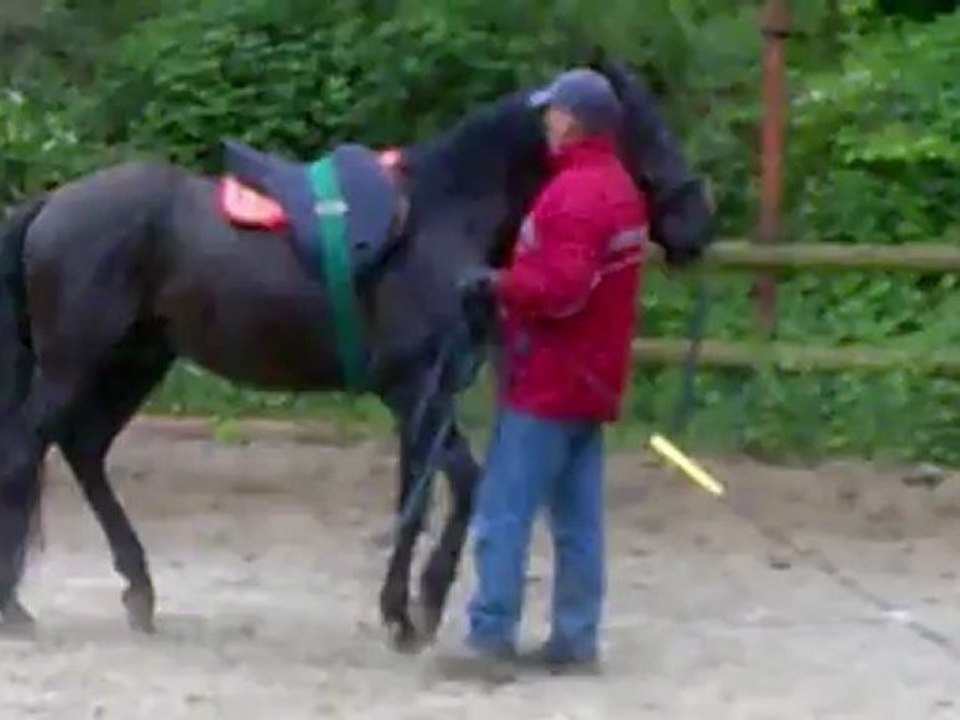 1ère séance avec la selle