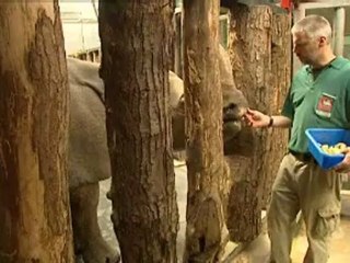 Lisieux: dans les coulisses du parc Cerza, épisode 3