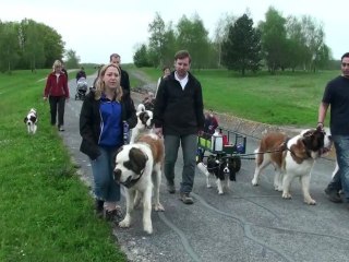 promenade sur la digue