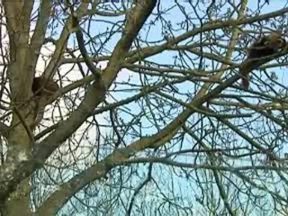 Lisieux: dans les coulisses du parc Cerza, épisode 4