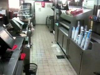 Des souris dans un restaruant Quick